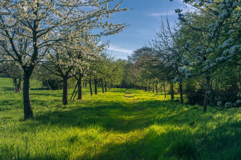 Erhalt des Naturschutzzentrums Wetzlar