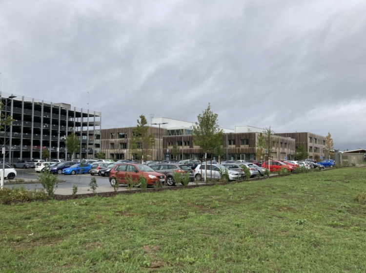 Sporthalle der Theodor-Heuss-Schule: GRÜNE fordern transparente und nachhaltige Lösung